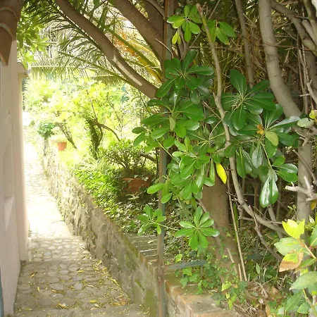 Sunflower Cosy Cottage Ac And Parking Space * مونتيروسّو ال ماري