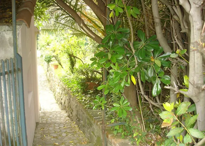Sunflower Cosy - Il Girasole * Monterosso al Mare